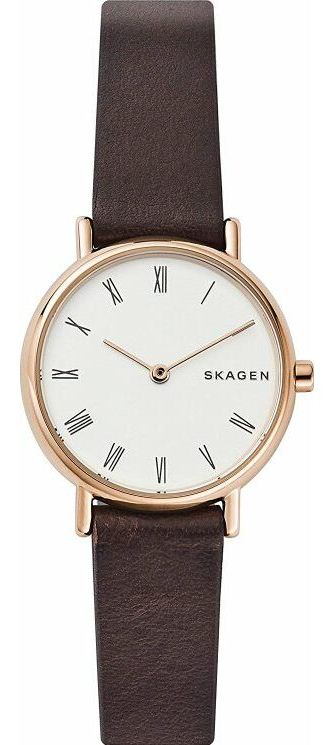 

Женские наручные часы SKAGEN SKW2760