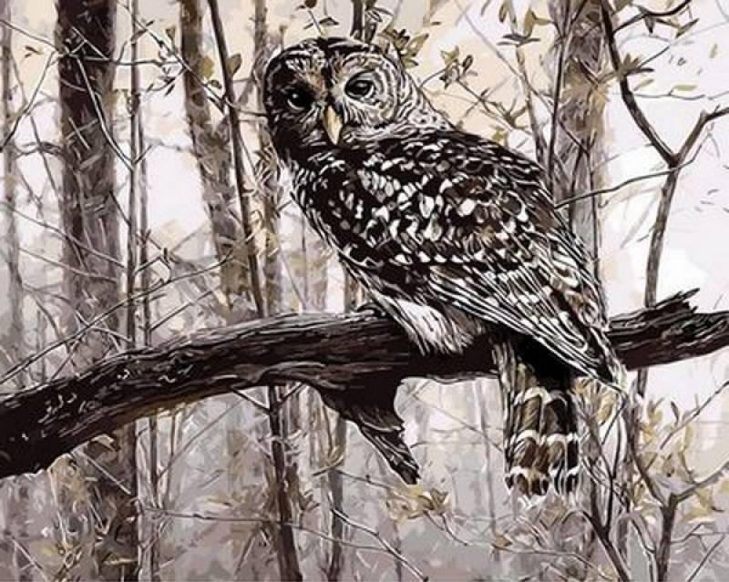 

Картина по номерам Q639 Сова в зимнем лесу. Худ. Рассел Кобейн, 40x50 см., Mariposa