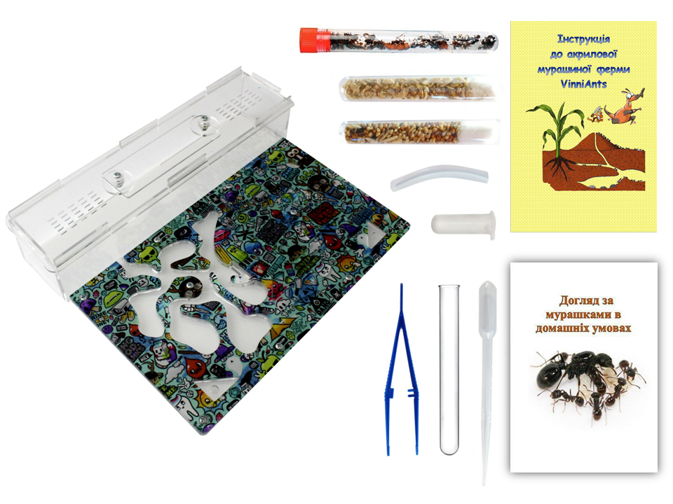 

Муравьиная Ферма VinniAnts Набор Полный Живой «Граффити»