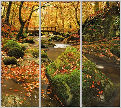 

Шкаф купе Luxe Studio Стандарт-1 Фотопечать Природа-173 2100x2200x600 трехдверный