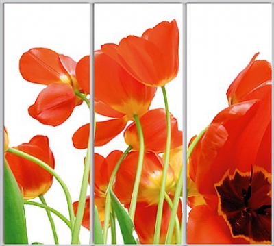 

Шкаф купе Luxe Studio Стандарт-1 Фотопечать Природа-109 2100x2200x600 трехдверный