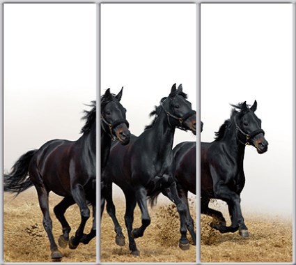 

Шкаф купе Luxe Studio Стандарт-1 Фотопечать Животные-14 2100x2100x600 трехдверный