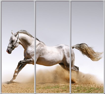 

Шкаф купе Luxe Studio Стандарт-1 Фотопечать Животные-24 2100x2100x600 трехдверный