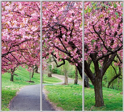 

Шкаф купе Luxe Studio Стандарт-1 Фотопечать Природа-170 2100x2000x600 трехдверный