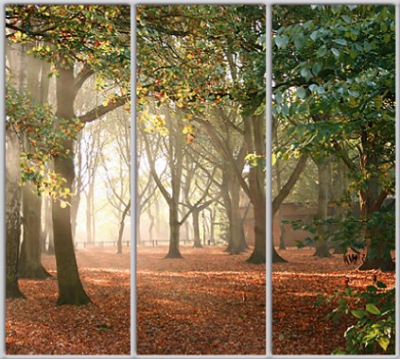 

Шкаф купе Luxe Studio Стандарт-1 Фотопечать Природа-3 2100x2000x600 трехдверный