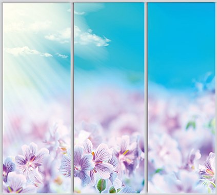 

Шкаф купе Luxe Studio Стандарт-1 Фотопечать Природа-139 2100x2200x600 трехдверный