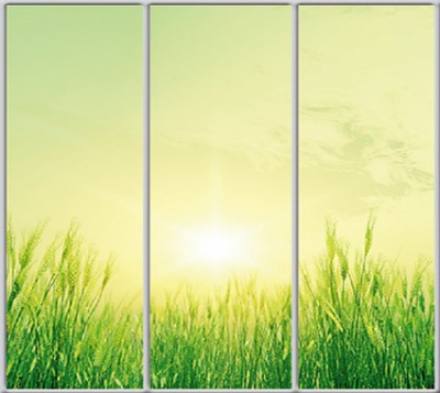 

Шкаф купе Luxe Studio Стандарт-1 Фотопечать Природа-40 2100x2100x600 трехдверный