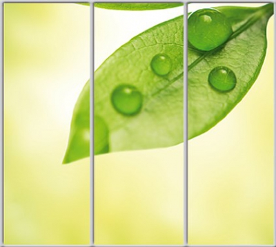 

Шкаф купе Luxe Studio Стандарт-1 Фотопечать Природа-91 2100x2300x600 трехдверный