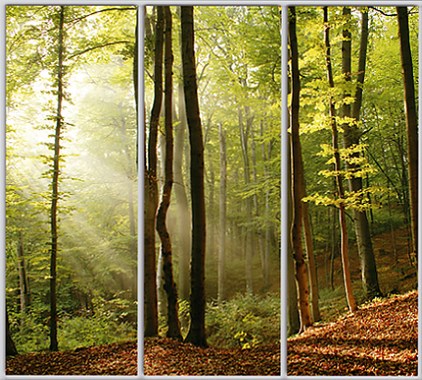 

Шкаф купе Luxe Studio Стандарт-1 Фотопечать Природа-176 2100x2300x600 трехдверный