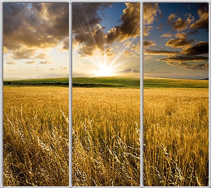 

Шкаф купе Luxe Studio Стандарт-1 Фотопечать Природа-205 2100x2300x600 трехдверный