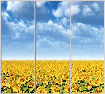 

Шкаф купе Luxe Studio Стандарт-1 Фотопечать Природа-122 2100x2000x600 трехдверный