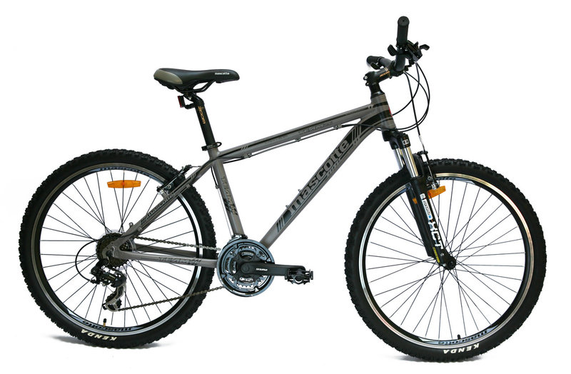 

Велосипед Mascotte Team 16" 26" Gray/Black (B4A-2141)