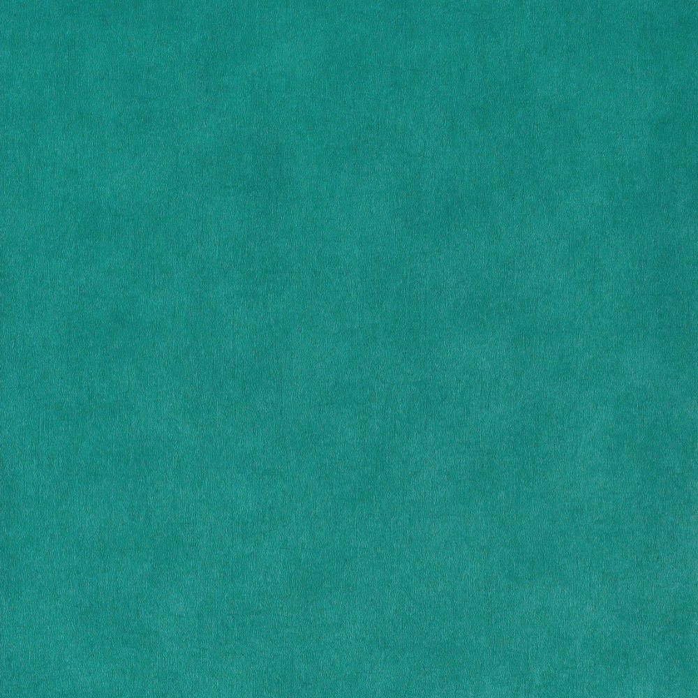 

Обои Caselio DIX DIX65216066 однотонные бриллиантовый зеленый