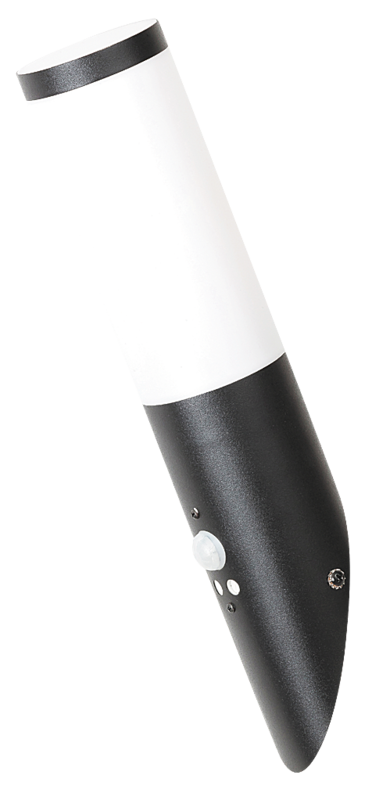 

Уличный светильник Rabalux 8146 Black Torch