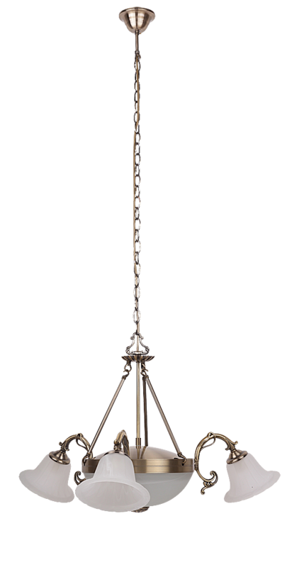 

Люстра Rabalux 8553 Orchidea