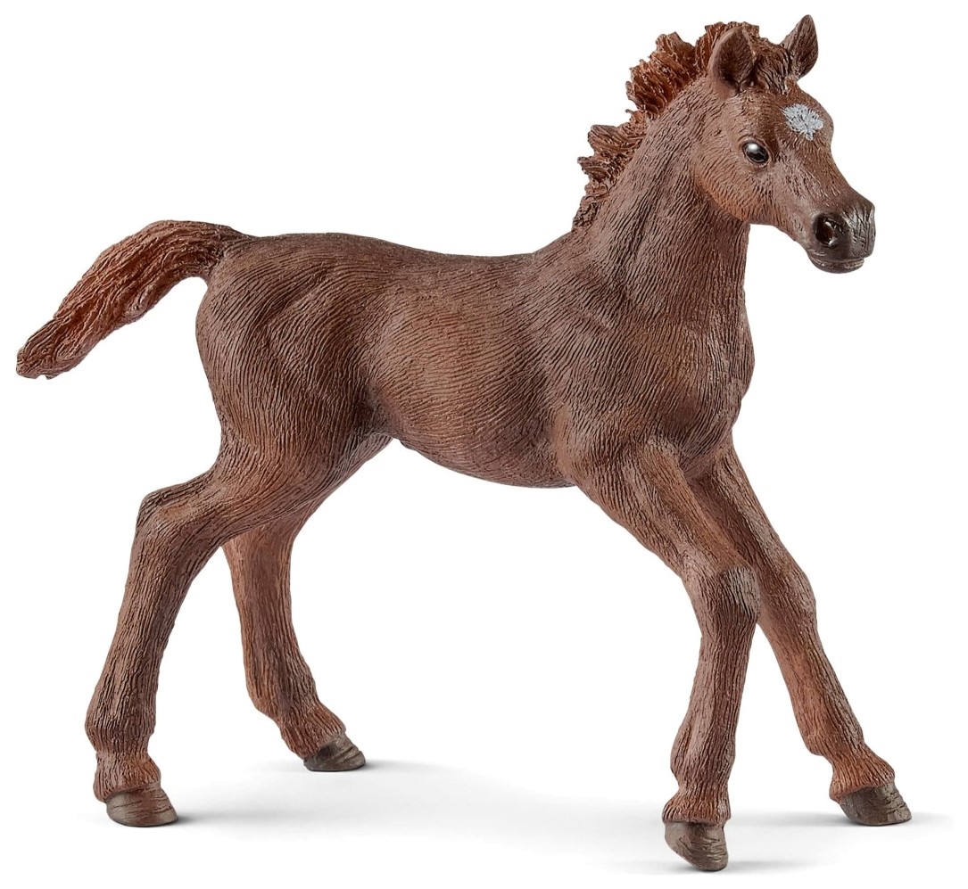 

Фигурка лошади Schleich Жеребенок английский чистокровный (13857)