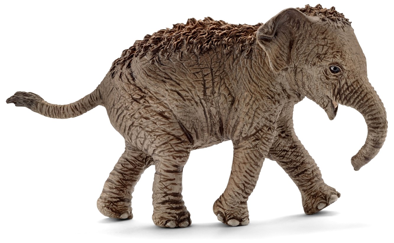 

Фигурка Schleich животное Азиатский слоненок (14755)