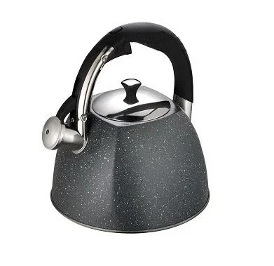 

Чайник из нержавеющей стали со свистком Edenberg 3.0 л Серый (EB-3541GR)