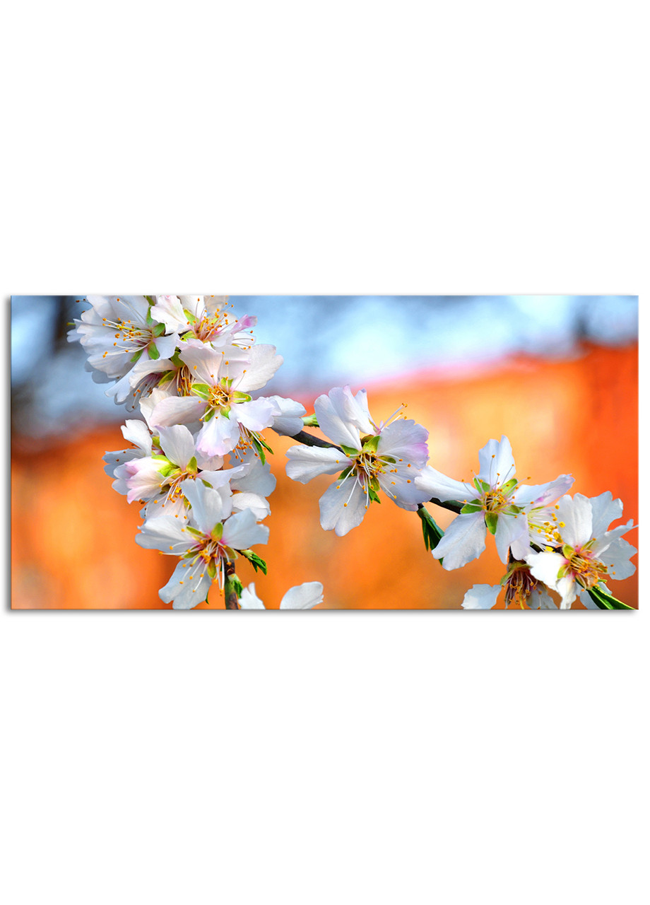 

Фотокартина на холсте Белое соцветие, 50*100 см