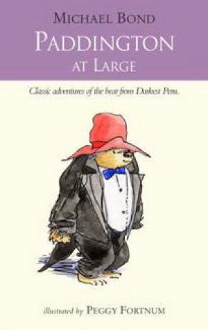 

PADDINGTON AT LARGE - PB FI