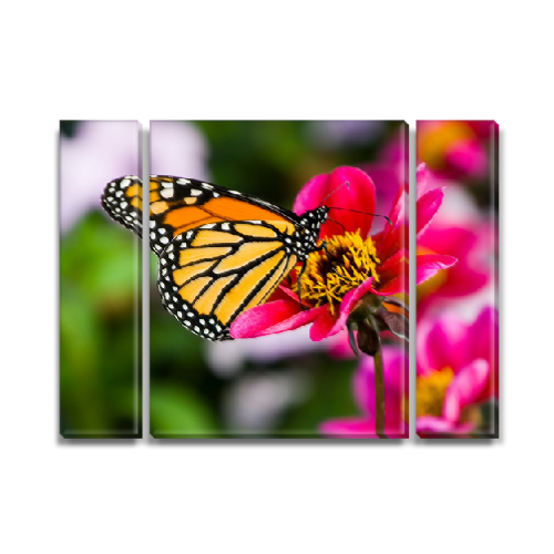 

Модульная картина Декоинт Животные 95x135см. Холст натуральный