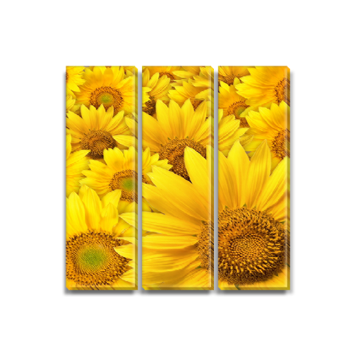 

Модульная картина Декоинт Цветы 80x80см. ПВХ ткань