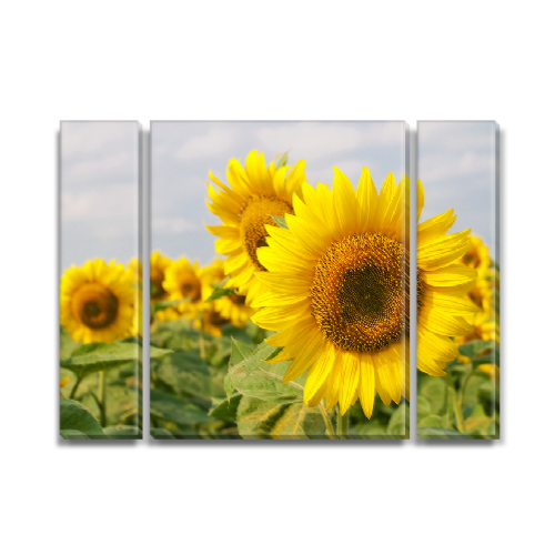 

Модульная картина Декоинт Цветы 80x110см. ПВХ ткань