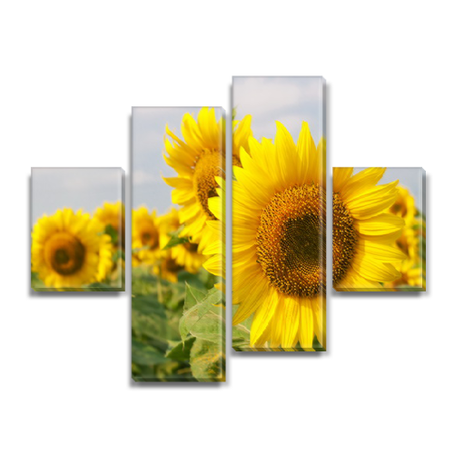 

Модульная картина Декоинт Природа 65x80см. Холст синтетический