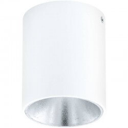 

Точечный светильник Eglo POLASSO PRO 62256