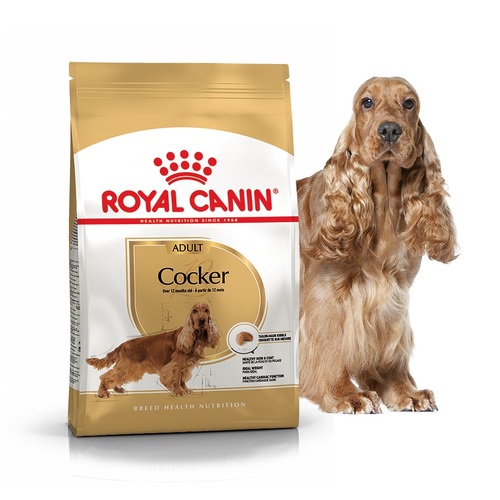 Сухой корм для собак породы кокер-спаниель Royal Canin COCKER ADULT для ...