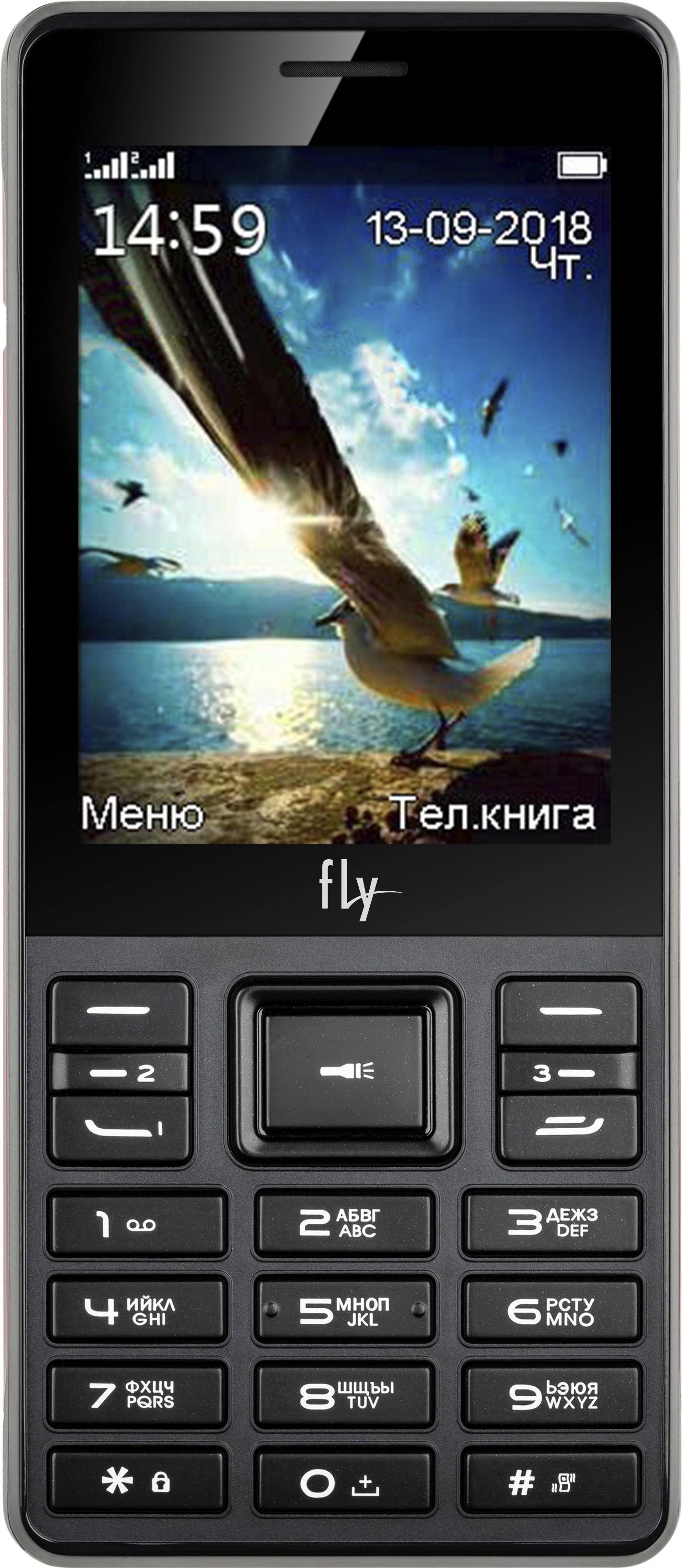 Мобильный телефон Fly TS114 Black