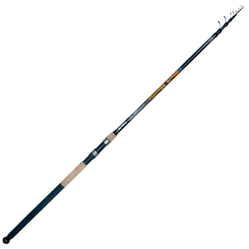 

Удилище Fishing ROI Telematch Black Mamba 4 м 10-30 г (225-04-0040)