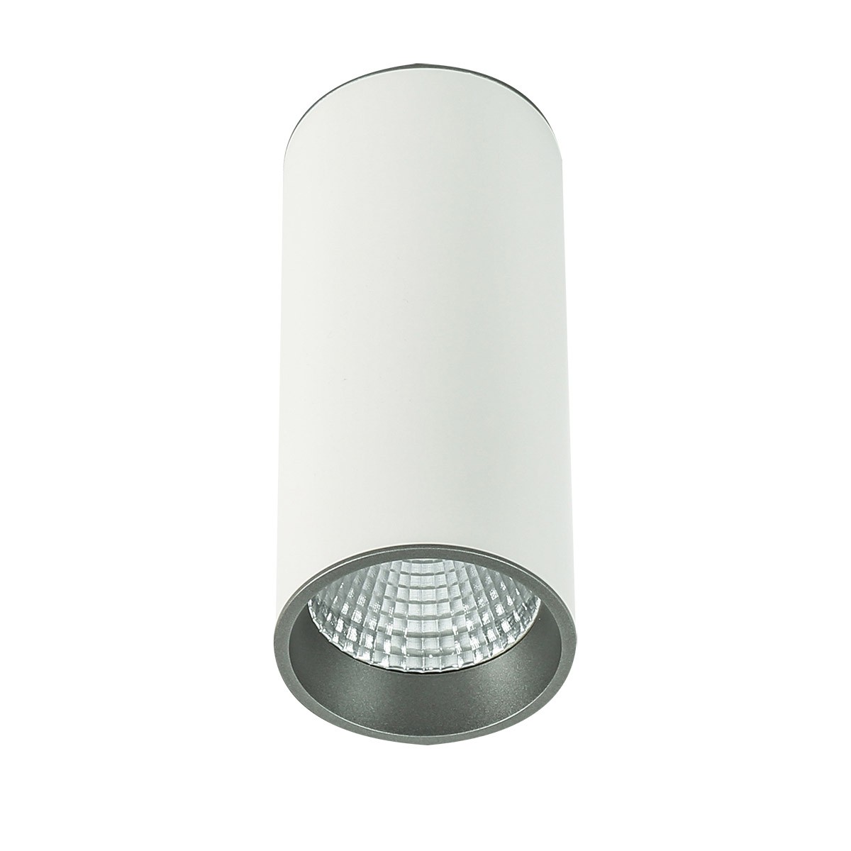 

Точечный светильник Italux Slc7392/12W Wh+Gr Moldes Big Wh/gr Ceiling 4000K