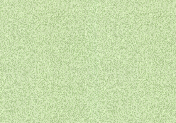 

Обои Lanita виниловые на флизелиновой основе ФОЭ-1014-3 темно-салатовый цв.фл.(1,06х10,05м.)