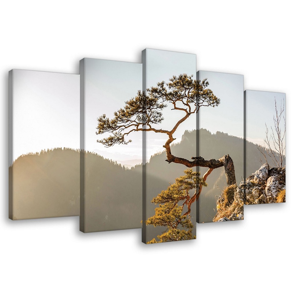 

Модульная картина на холсте 2x20x40 см, 2x20x50 см, 1x20x60 см Гора Пенины
