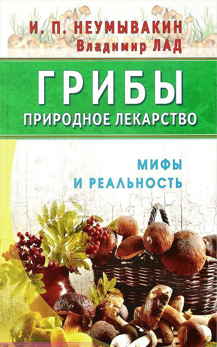 

Грибы - природное лекарство