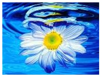 

Набор для росписи картины в коробке по номерам Shinerichy Ind. "Ромашка в воде" 40*50 см