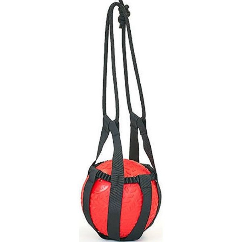 

Тренировочная сумка для медболов CrossGym, код: FI-5744