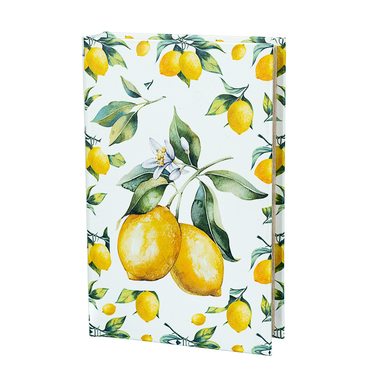 

Сейф-книга Lemons 26х17х5 см Veronese AL78327