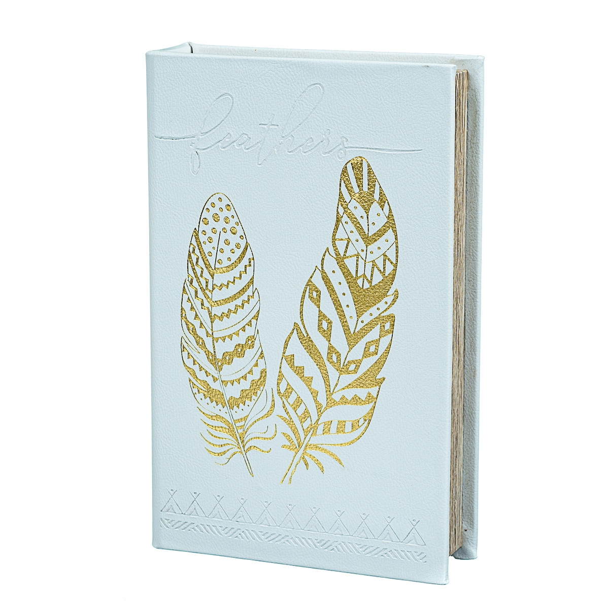 

Сейф-книга Golden feather 26х17х5 см Veronese AL78326