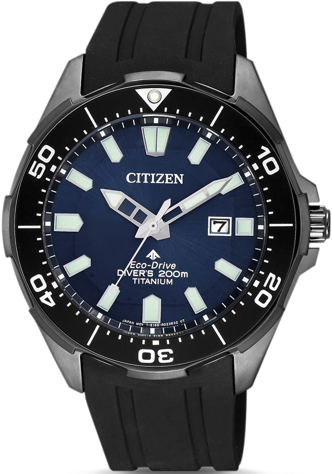 

Мужские часы Citizen BN0205-10L