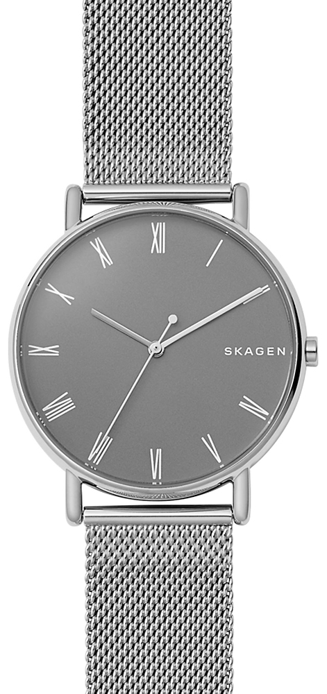 

Мужские часы Skagen SKW6428