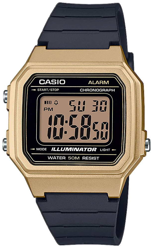 

Мужские часы Casio W-217HM-9AVEF