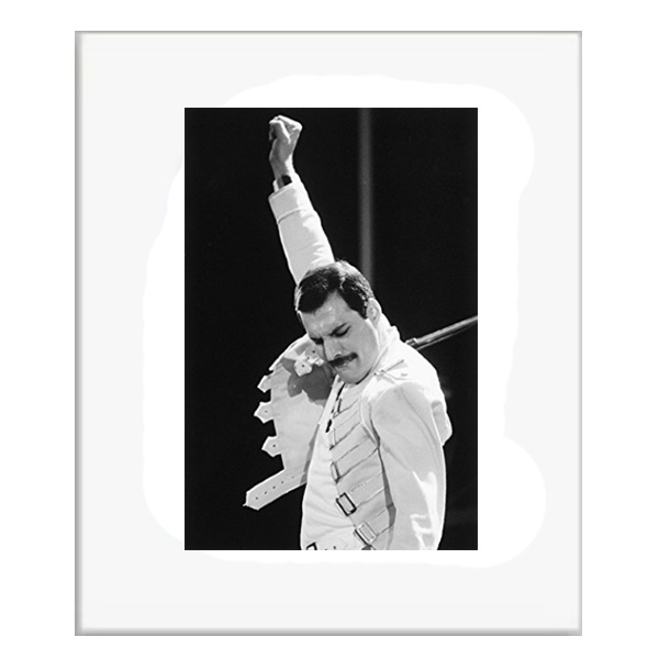 

Картина "Freddy Mercury", 31 х 26 см