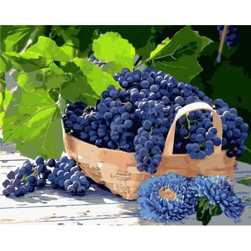 

Картина по номерам Идейка "Виноград в корзине" КНО5579 151849