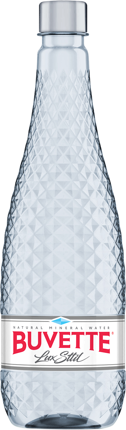 Акція на Упаковка минеральной воды Buvette Vital Люкс негазированной 0.75 л х 12 бутылок (4820115402058) від Rozetka UA