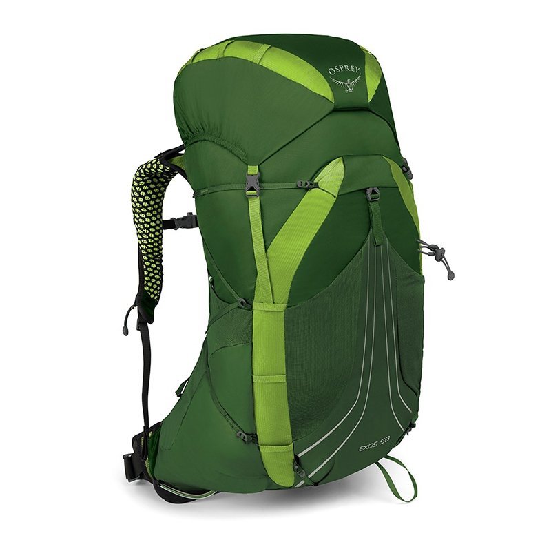 

Туристический рюкзак Osprey Exos 58 Tunnel Green LG Зеленый (009.1739)