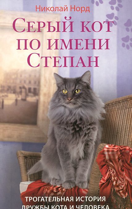 

Серый кот по имени Степан. Трогательная история дружбы кота и человека (924564)