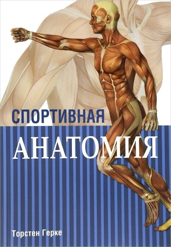 

Спортивная анатомия Попурри (2118)