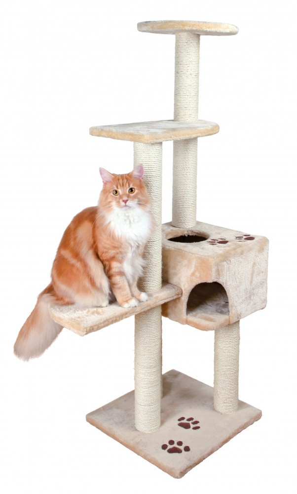 

Когтеточка Trixie Alicante Scratching Post для кошек, 45х45х142 см (43861)